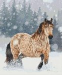 (image for) Big Snow